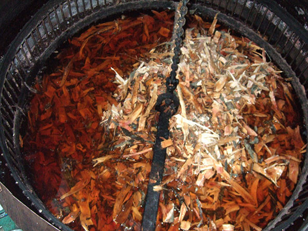 奄美・テーチ木-車輪梅-を煮込んでいるところ-テーチ木で赤茶色に染めて泥で媒染する