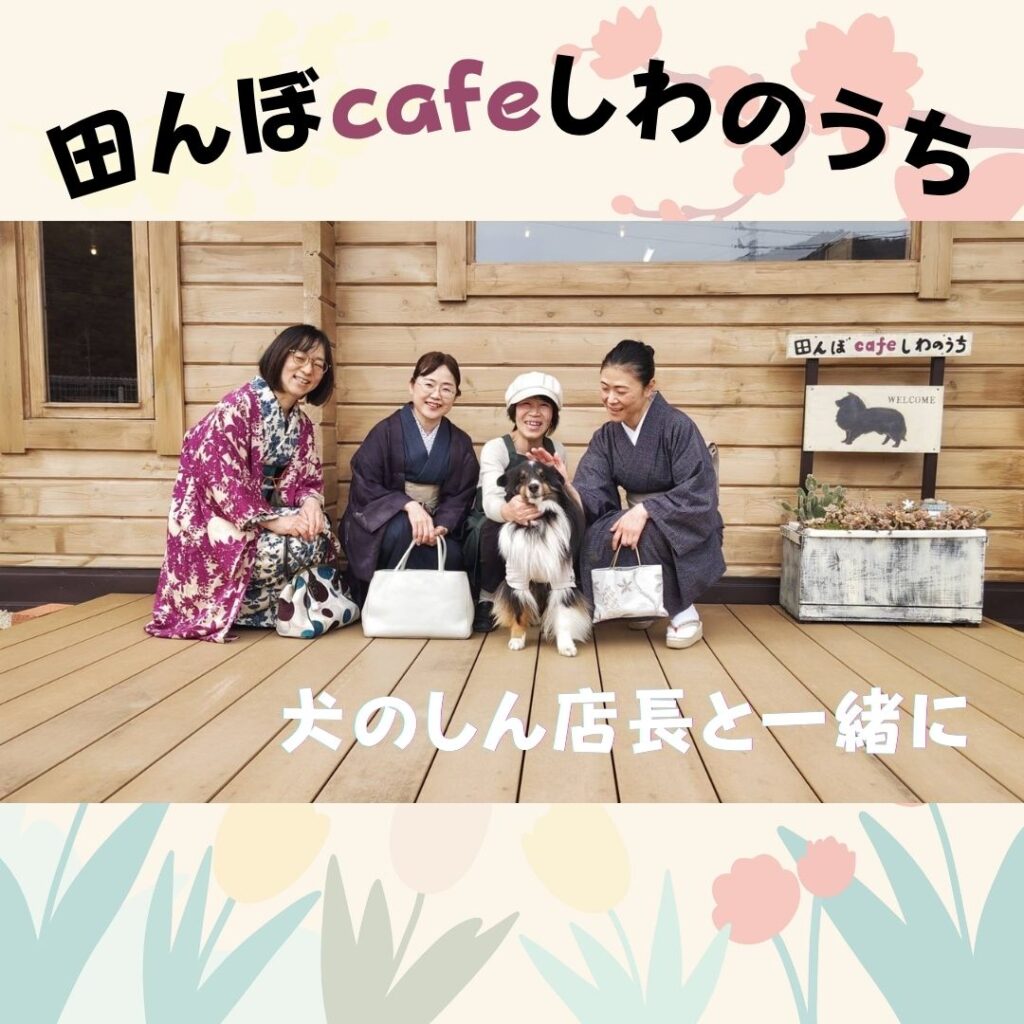 着物で田んぼcafeしわのうちへ